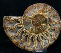 Polished Ammonite Pair - Crystal Pockets #11784-2